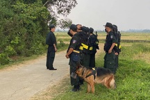 Cảnh sát cùng chó nghiệp vụ truy bắt nghi phạm giết người trốn trong rừng