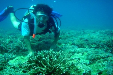 Hội An: Siết chặt quản lý du lịch Cù Lao Chàm