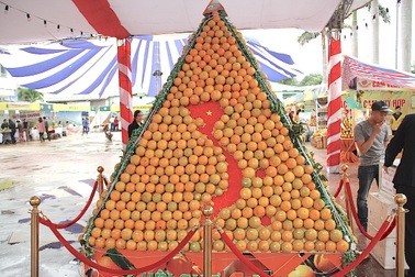 Nghệ An: Hội chợ cam Vinh 2018