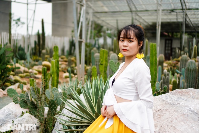 Những điểm check-in với xương rồng không thể bỏ qua ở Hà Nội - 16 Những điểm check-in với xương rồng không thể bỏ qua ở Hà Nội - 16