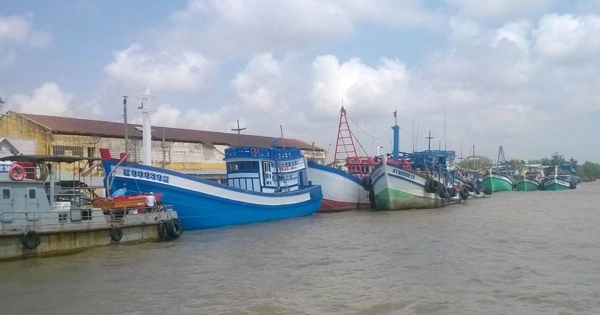 Công nhân tử nạn thương tâm vì trượt chân vào máy xay nước đá