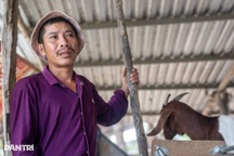 Nơi “gió như phang, nắng như rang” tan hoang sau trận lũ lịch sử