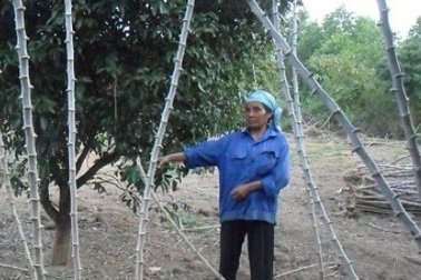 Cưỡng hiếp vì bị từ chối tình cảm