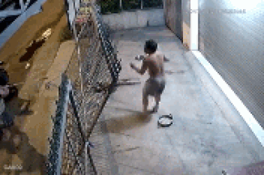 Clip “trộm chó dùng súng điện đe dọa chủ nhà ở Củ Chi" xuất hiện trên báo nước ngoài