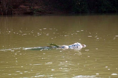 Mẹ ngất xỉu khi phát hiện xác con trong bao tải trôi sông