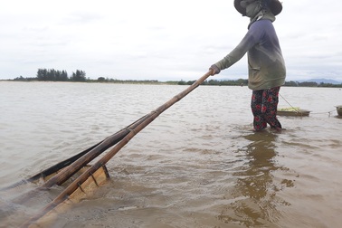 Quảng Ngãi: Nhọc nhằn đãi cát tìm hến nơi cửa sông