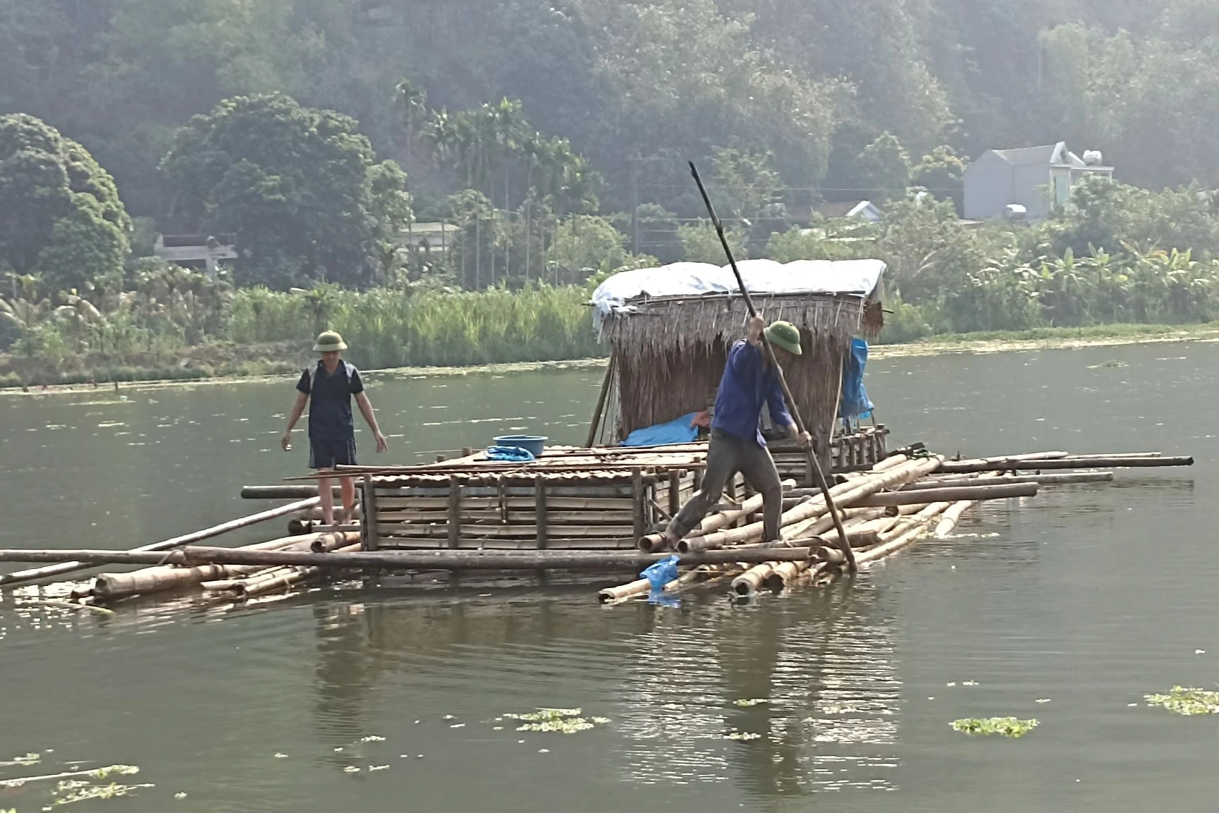 Xác định nguyên nhân cá chết hàng loạt trên sông Mã - 2