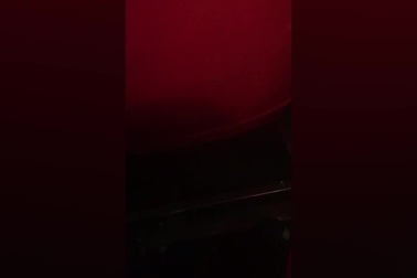 Tiết mục xiếc mạo hiểm gặp sai sót nghiêm trọng