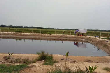 Xả cạn hồ trong trang trại, tá hỏa phát hiện xác người