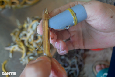 Cả ngày vã mồ hôi tuốt lươn, tiền công bằng 3 tô phở