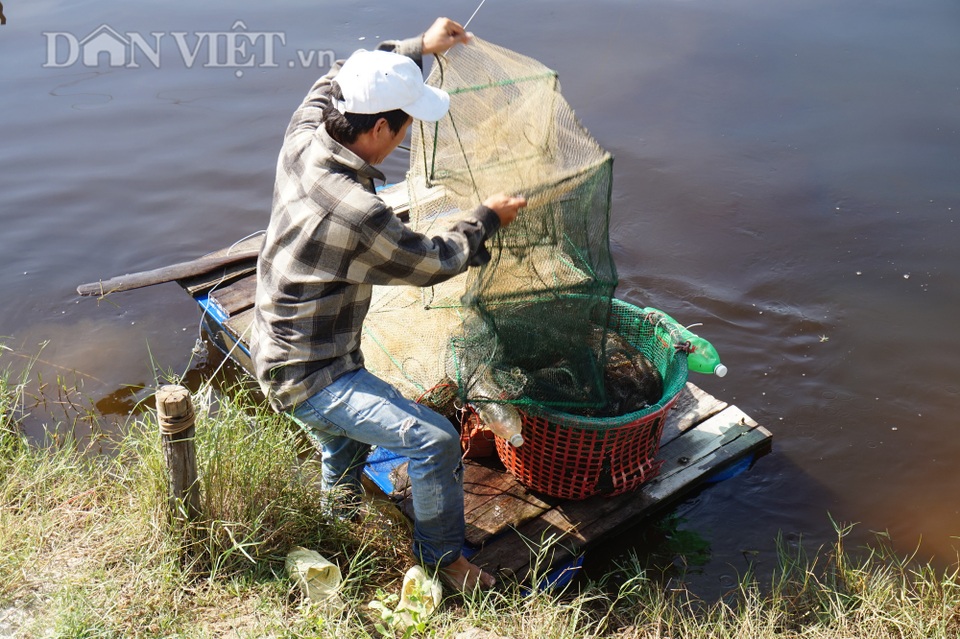 Đà Nẵng: Cả làng đổi đời nhờ đào ao nuôi toàn con đặc sản - 4 Đà Nẵng: Cả làng đổi đời nhờ đào ao nuôi toàn con đặc sản - 4