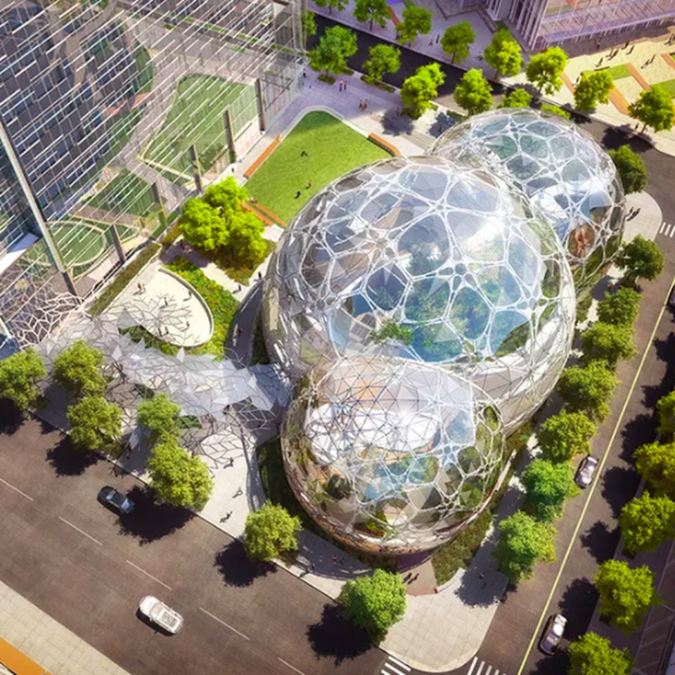 Công ty mang 40.000 loài cây vào trụ sở, nhân viên như đang ngồi giữa rừng - 1