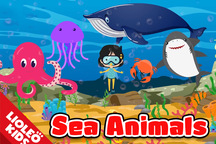 Tiếng Anh trẻ em: Chinh phục từ vựng chủ đề “sinh vật đại dương”