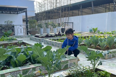 Mê mẩn với khu vườn xanh sạch của cặp vợ chồng ở Mộc Châu