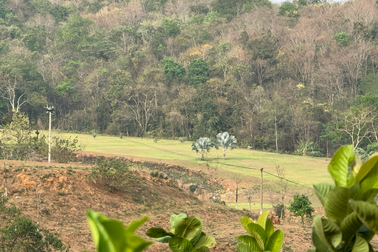 Giám đốc chi nhánh ngân hàng làm sân golf mini trên đất rừng để giải trí?