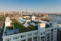 Nông trại "khủng" trồng rau, nuôi gà, thả ong trên nóc nhà 6 tầng