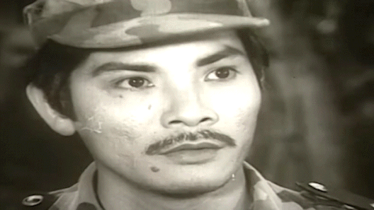 Nhìn lại những dấu mốc thăng trầm trong sự nghiệp Thương Tín