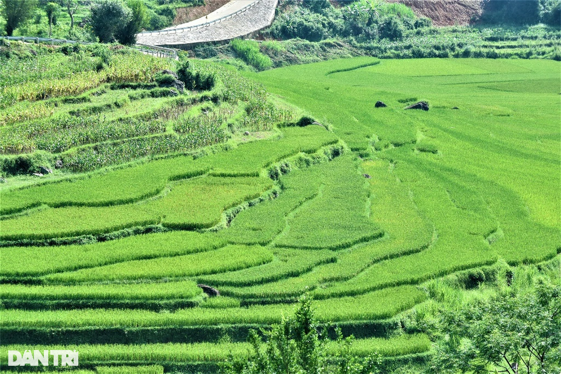 Vẻ đẹp hút hồn ở Pù Luông nơi được mệnh danh là thiên đường giữa đại ngàn - 10