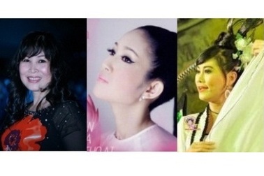 3 nghệ sĩ ứng cử đại biểu HĐND TP đều trúng cử