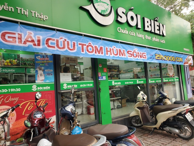 Giải cứu tôm hùm ở Hà Nội: Hàng đồng giá 299.000 đồng/con “cháy” hàng - Ảnh 1. Giải cứu tôm hùm ở Hà Nội: Hàng đồng giá 299.000 đồng/con “cháy” hàng - Ảnh 1.