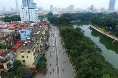 Hà Nội lại thay cây