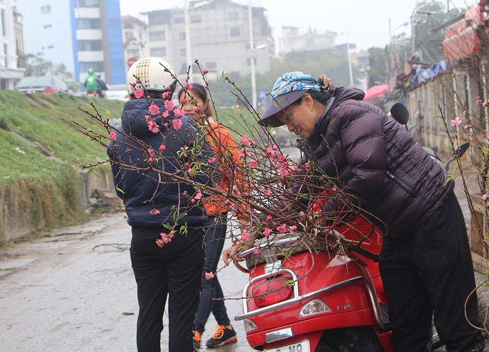 Dân Hà Nội chơi đào sớm, chi nửa triệu đồng cho 1 cành - 2 Dân Hà Nội chơi đào sớm, chi nửa triệu đồng cho 1 cành - 2