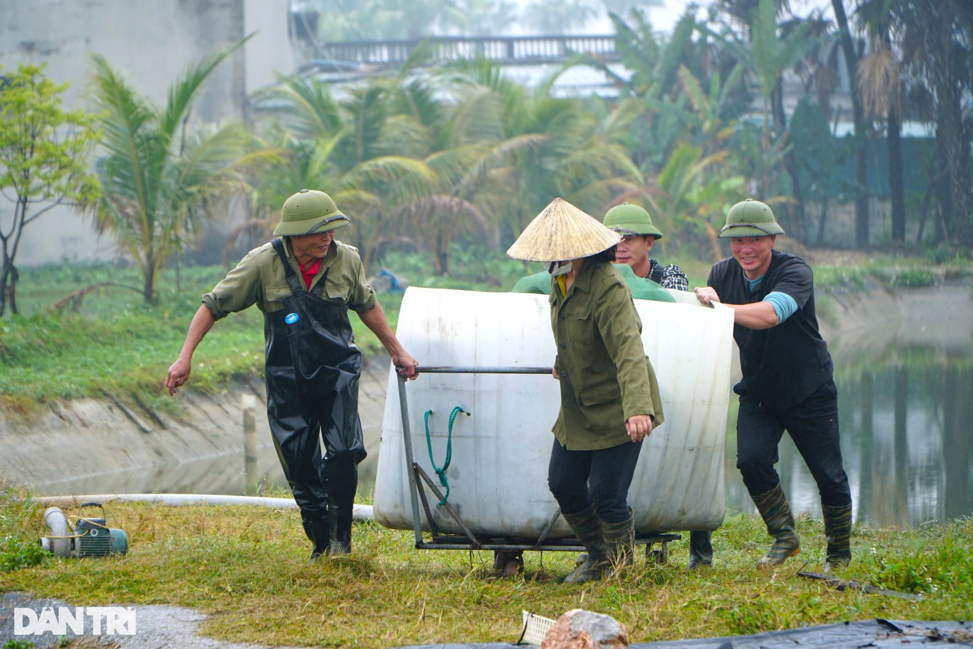 Mẻ lưới trăm triệu tại nơi sản xuất phương tiện tiễn ông Công, ông Táo - 1 Mẻ lưới trăm triệu tại nơi sản xuất phương tiện tiễn ông Công, ông Táo - 1