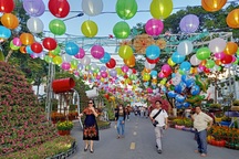 Chợ quê ngày Tết nhộn nhịp trên phố ở xứ Công tử Bạc Liêu