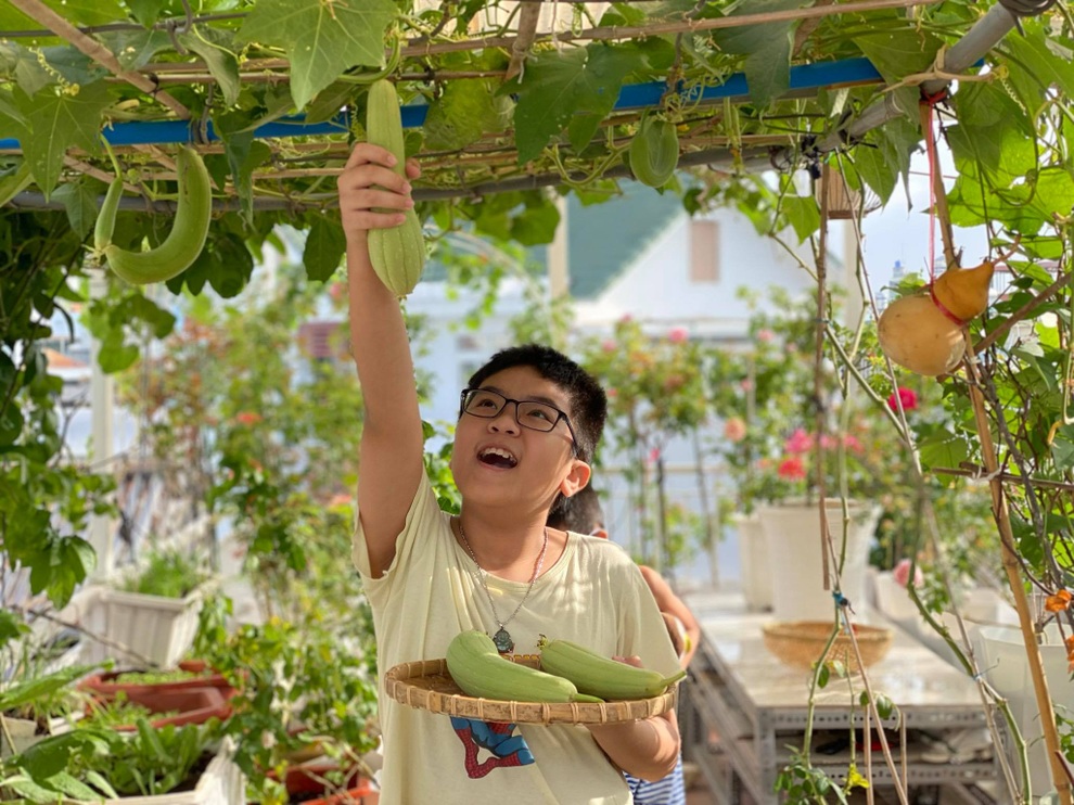 Vườn hồng rực rỡ, giàn mướp sai trĩu giữa mùa dịch của mẹ đảm tại TPHCM - 3 Vườn hồng rực rỡ, giàn mướp sai trĩu giữa mùa dịch của mẹ đảm tại TPHCM - 3