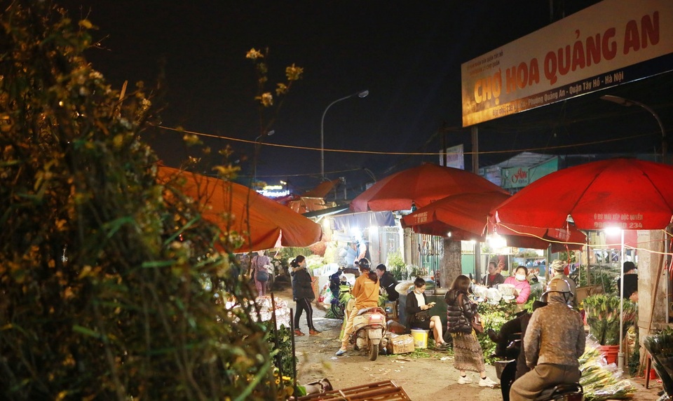 Chợ hoa Quảng An tấp nập ngày 8/3 - 1 Chợ hoa Quảng An tấp nập ngày 8/3 - 1