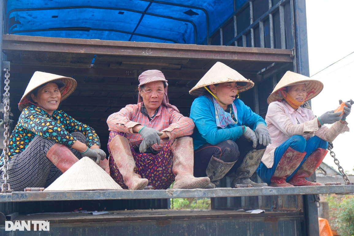 Nín thở, bặm môi khiêng chậu, chị em làng mai kiếm tiền triệu tiêu Tết - 6 Nín thở, bặm môi khiêng chậu, chị em làng mai kiếm tiền triệu tiêu Tết - 6