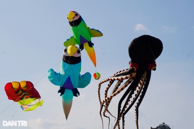 Ngắm diều khủng tung bay trên bầu trời Quy Nhơn