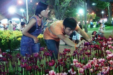 "Điểm đẹp" đầu xuân nơi bạn trẻ Sài thành