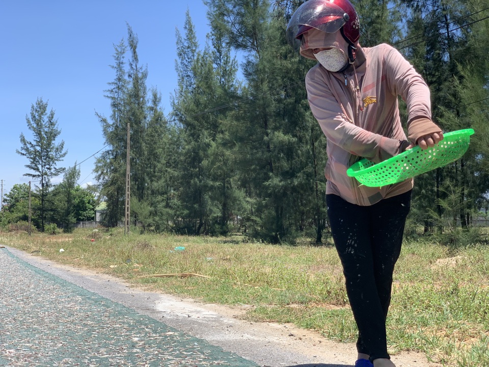 Lộc biển bất ngờ, ngư dân hối hả “cướp nắng” kiếm tiền triệu - 10 Lộc biển bất ngờ, ngư dân hối hả “cướp nắng” kiếm tiền triệu - 10