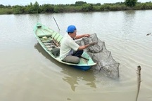 Mô hình “4 trong 1” giúp nông dân thoát nghèo, vươn lên khá giả