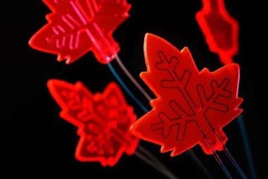 Các nhà khoa học sử dụng lá cây nguồn gốc tổng hợp để điều chế thuốc như thế nào ?