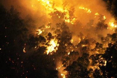 Hơn 600 người xuyên đêm dập đám cháy dữ dội trên núi Bà Hỏa