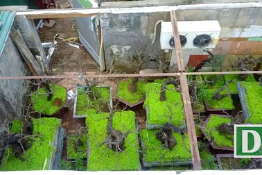 Mắc điều hòa giữ nhiệt cho đào thất thốn