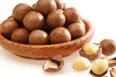 Trồng cây mắc ca, coi chừng mắc nợ vì giống kém!