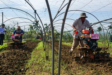 Xem người Đà Nẵng đánh võ, đua máy cày trong lễ hội đình làng trăm tuổi