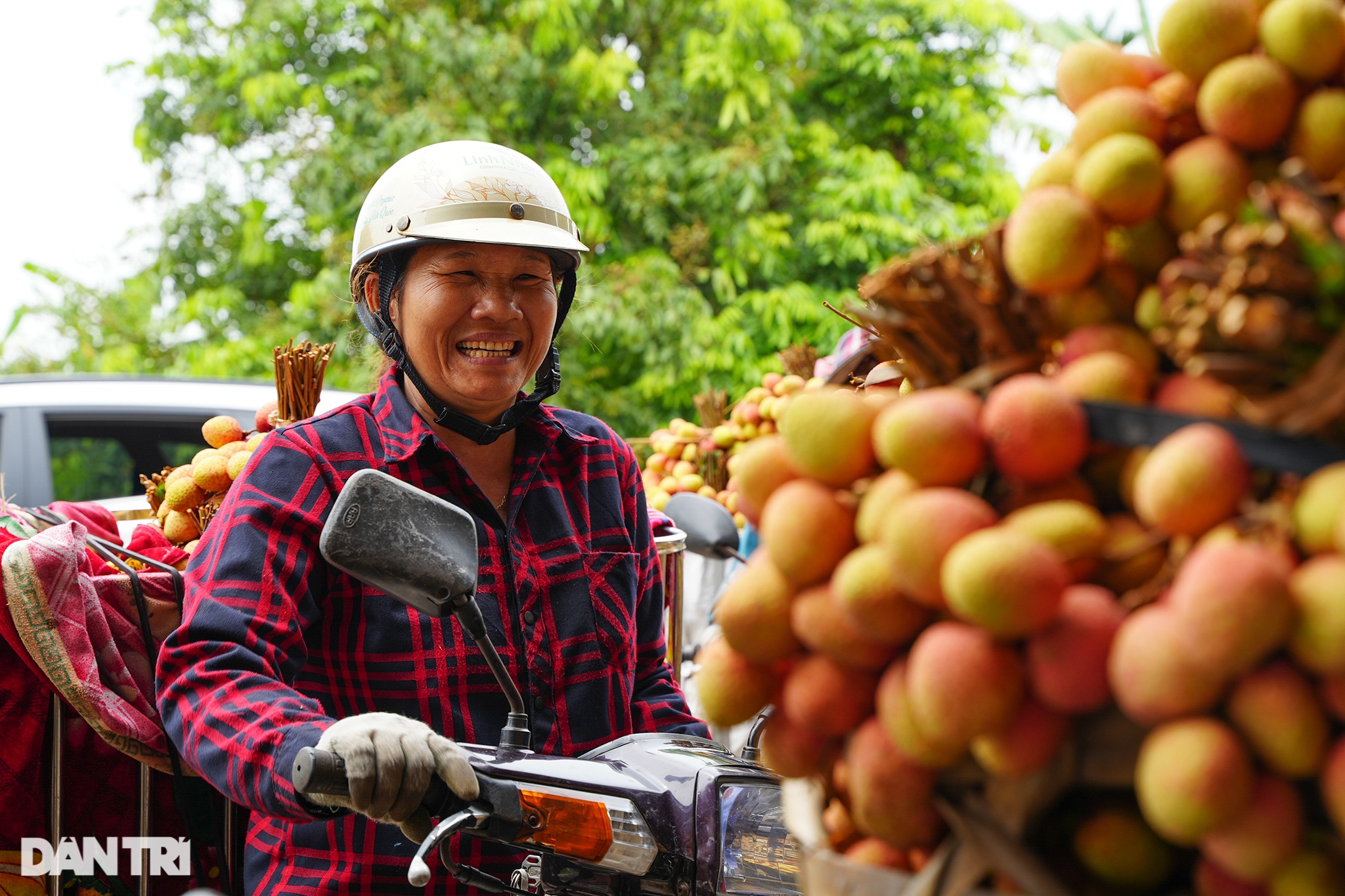 Nông dân Thanh Hà tấp nập chở vải đi bán, xếp hàng dài lấy số vào cân hàng - 6 Nông dân Thanh Hà tấp nập chở vải đi bán, xếp hàng dài lấy số vào cân hàng - 6