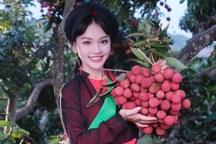 Minh Ngọc giành Cúp vàng âm nhạc châu Á với tiết mục mang màu sắc quan họ