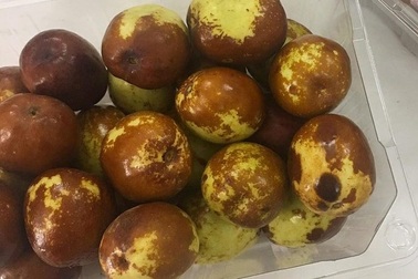 Táo tàu Hàn Quốc xách tay, đắt đỏ vẫn cháy hàng