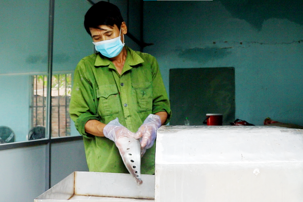 Bỏ trồng mì, người dân nghèo kiếm 150 triệu đồng/vụ từ loài cá thác lác - 4 Bỏ trồng mì, người dân nghèo kiếm 150 triệu đồng/vụ từ loài cá thác lác - 4