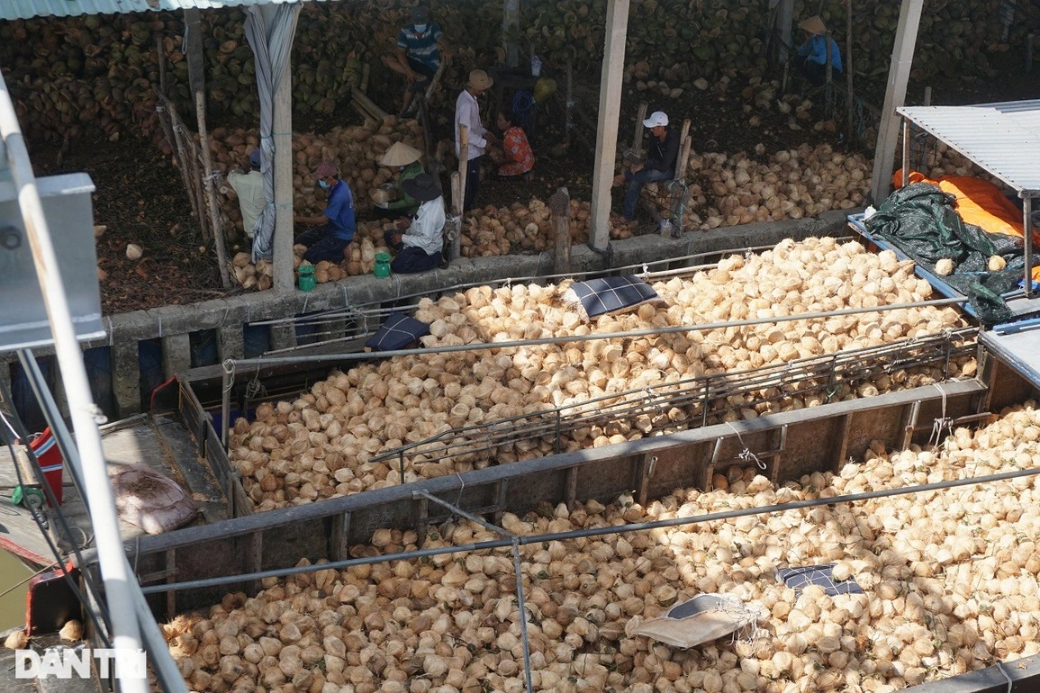 Chợ độc nhất Việt Nam, vừa tới nơi mùi đặc sản thơm nức mũi - 5 Chợ độc nhất Việt Nam, vừa tới nơi mùi đặc sản thơm nức mũi - 5