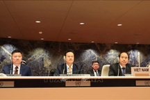 Việt Nam tham dự phiên bảo vệ báo cáo về quyền của người khuyết tật