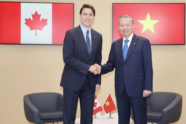 Tổng Bí thư, Chủ tịch nước Tô Lâm gặp các Thủ tướng Canada và Bỉ