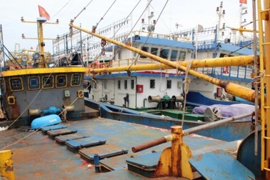 Thủ tướng giao Bộ Công an điều tra nghi án gian lận tàu vỏ thép