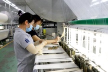 120 ngày "tẩy sạch vùng đỏ" giúp Long An bình thường mới