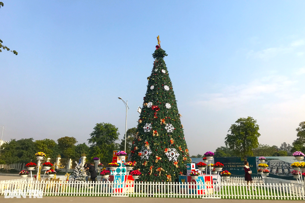 Giới trẻ phát sốt vì cây thông độc đáo ở khu đô thị đẹp nhất Nghệ An - 7 Cây_thông_Noel - 7